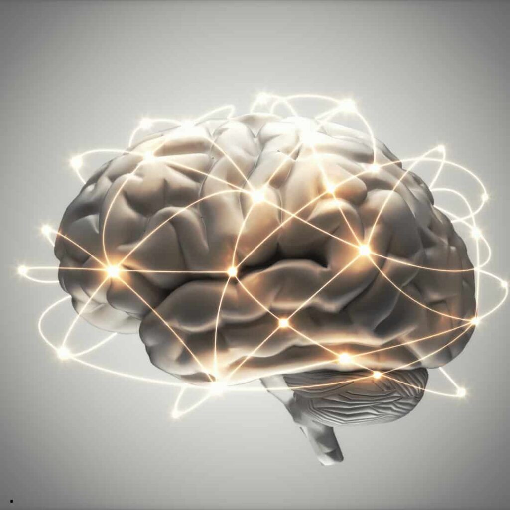 Curso Neurociência Comportamental